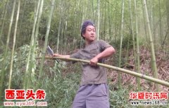 自家种的竹子能砍伐吗？