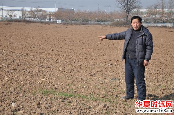西安临潼区百亩土地荒芜多年 复垦刚有收获却遭强行收回