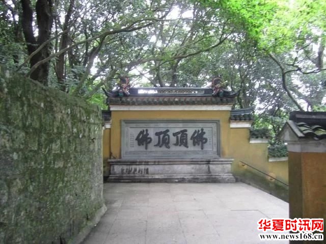 在中国佛教圣地发现的全世界仅有一棵的古树！