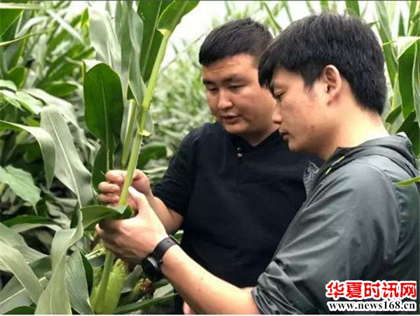 石宇锋，陕西省高级职业农民，渭南绿盛现代农机专业合作社理事长。