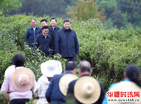 习近平考察陕西小镇背后有这些扶贫大战略