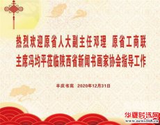 陕西省新闻书画家协会：《丰庆如画》以书画惠民告别2020年拥抱2021年