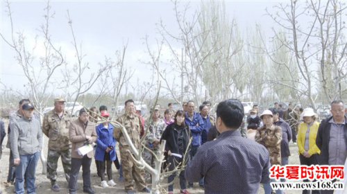 新疆生产建设兵团第一师三团文体广电服务中心 ——一场及时雨，破解霜冻灾