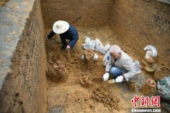 重庆涪陵发现一东汉古墓 距今约1800年
