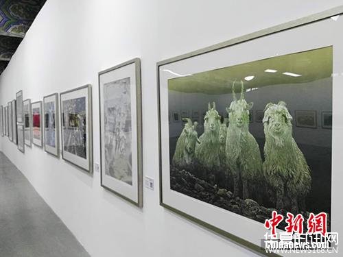 鸡西版画晋京展展出的作品。中新网记者 宋宇晟 摄