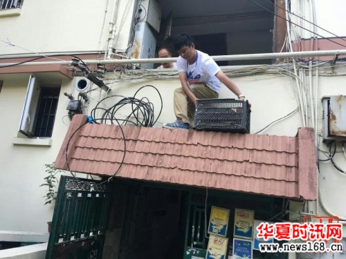 陈浩到底多忙?还原29岁社区主任生前最后的30小时