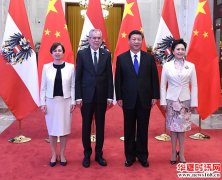 习近平同奥地利总统范德贝伦举行会谈