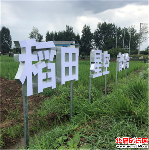 2018王莽稻田音乐会