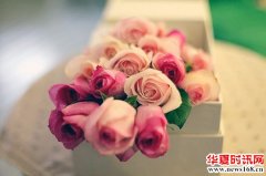 情人节来了，跟情人节有关的花语你懂多少呢？