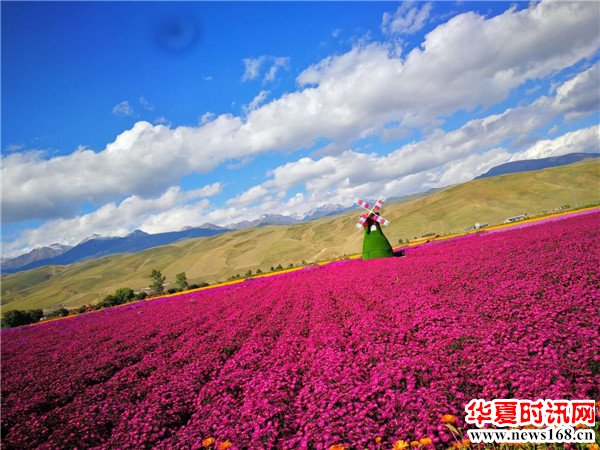 孙凯军摄影作品展播之百里画廊