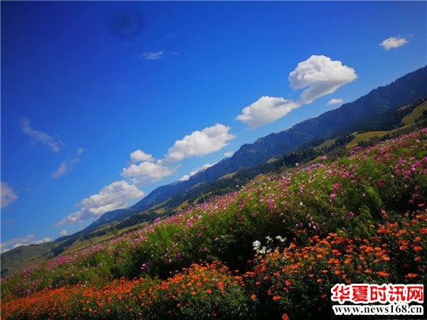 孙凯军摄影作品展播之百里画廊