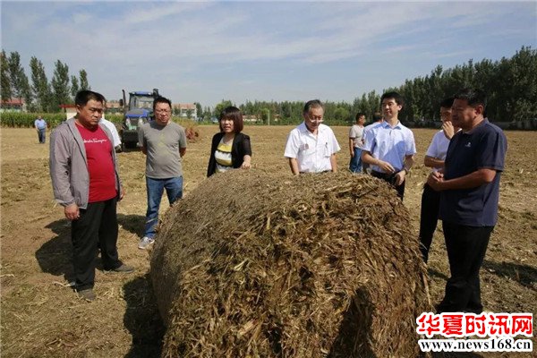 山东省博兴县庞家镇召开农作物秸秆禁烧暨经济普查工作会议