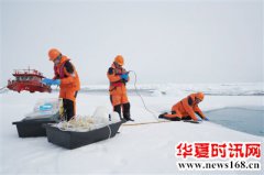 北冰洋成全球海洋酸化“放大镜”