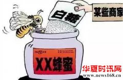 良心媒体人士揭露蜂蜜市场惊天骗局！亲赴深山发现土蜂蜜惊人真相！