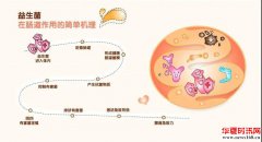 益生菌对这八种腹泻有作用！建议家中常备！