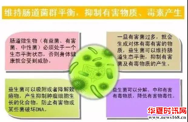 益生菌对这八种腹泻有作用！建议家中常备！