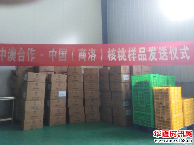 大秦岭牛伯伯商洛核桃研究样品今日发送乔治全球健康研究院