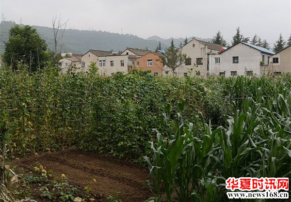 西安外国语大学英文学院分享爱志愿者队“青春聚力乡村振兴”社会调研——宝鸡站