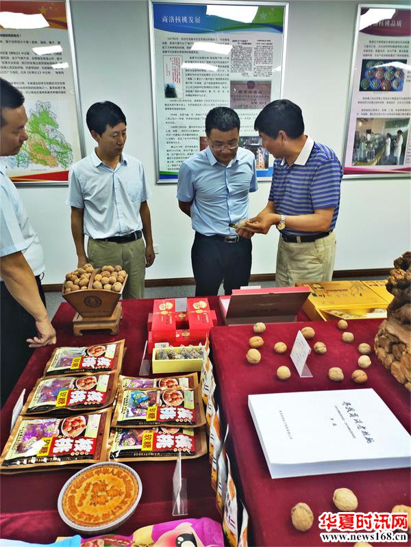 商洛市委常委、副市长胡宏一行深入商洛核桃主题馆调研