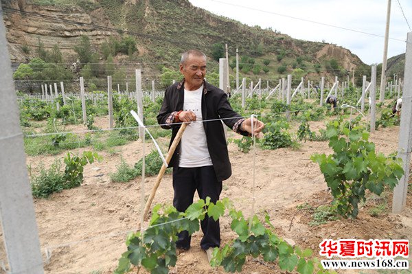 陕北矿业中能煤田党委助推鱼河峁镇梅家畔村多元化产业蓬勃发展