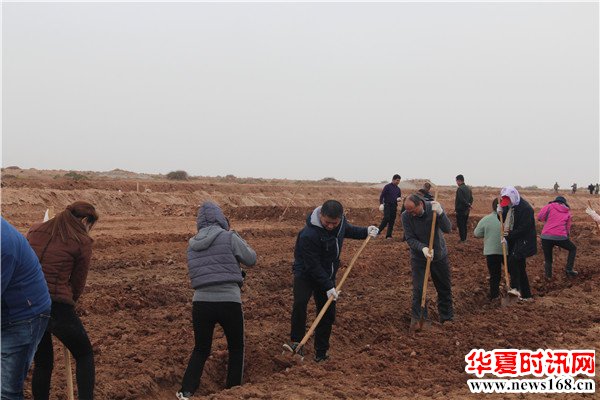 阿克苏市人民检察院开展秋季植树造林活动
