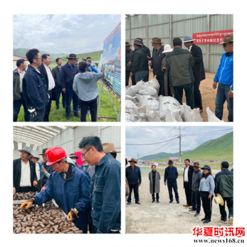 青珍乡新一届党政班子全面践行“12345”工作法凝聚共建“和美青珍”强大合力