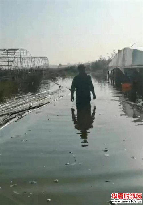陕西大荔县排碱渠决堤，外地商人遭遇损失谁来买单？