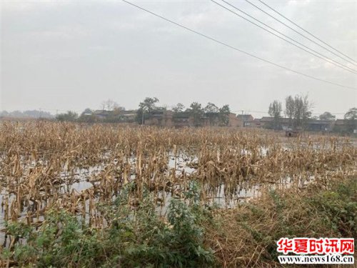 慈善总关民冷暖一一西安市临潼区慈善会携手群众力量忙救灾