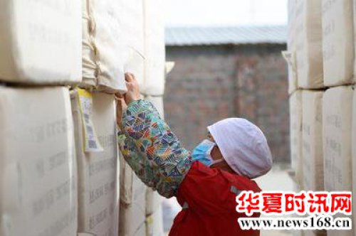 新疆兵团三团鹏创棉业党支部扎实开展“我为群众办实事”实践活动显成效