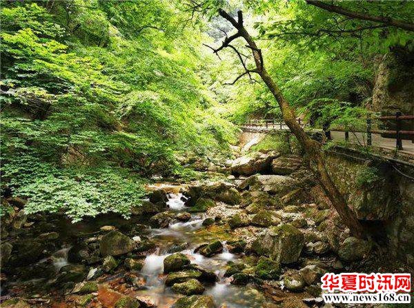 春分时节话养生