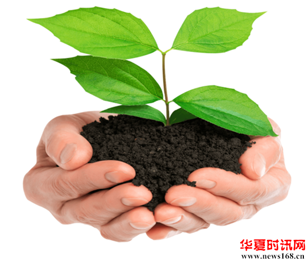 “种下一片爱心，为秦岭增添一份绿色”——2023年陕西省建设工程造价行业在周至公益植树