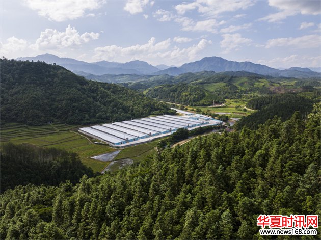 鲜朗携手中国国家地理溯源福建鲜工厂，推动宠物食品行业迈向更高“鲜”标准