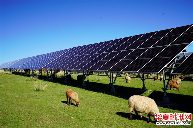 聚焦主责主业 绘就绿水青山新画卷