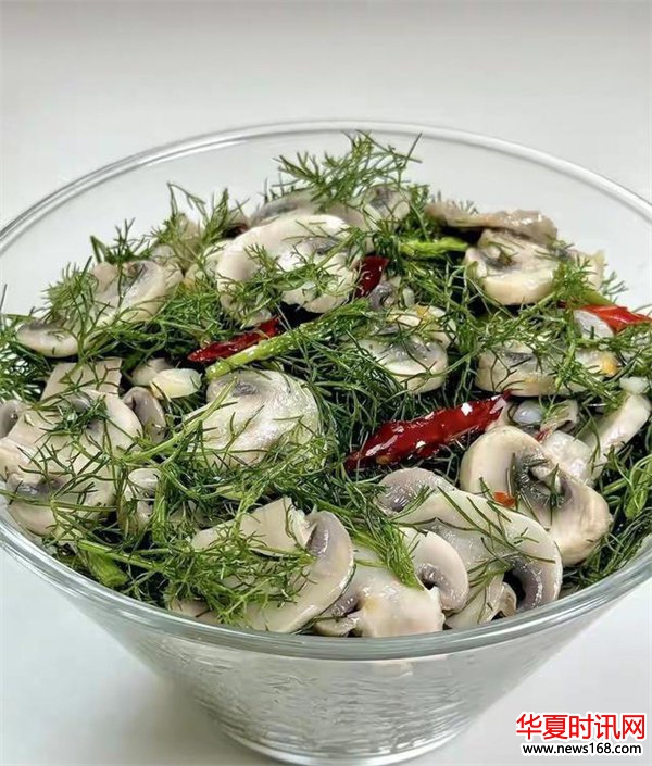 茴香拌口蘑自带“青霉素”，建议：天冷经 常吃，提高免疫力少生病