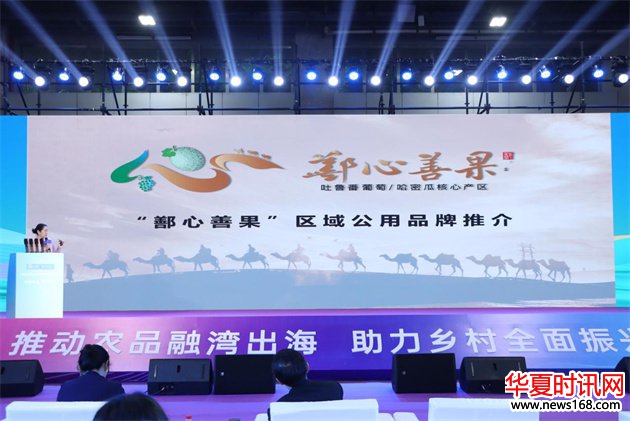 从吐鲁番盆地到珠江三角洲，鄯善县“甜蜜产业 ”赴湾区之约