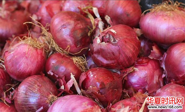 自带“青霉素”的蔬菜洋葱