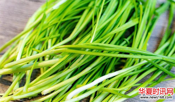 自带“青霉素”的蔬菜韭菜
