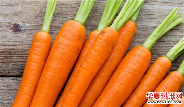 自带“青霉素”的蔬菜胡萝卜